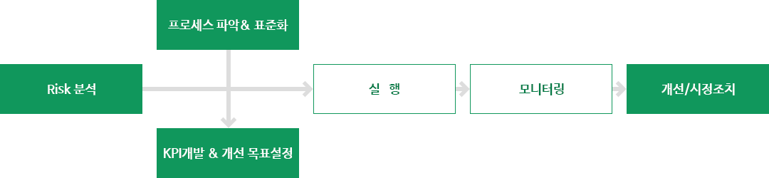 Risk 분석→(프로세스 파악&표준화→KPI개발&개선 목표설정)→실행→모니터링→개선/시정조치