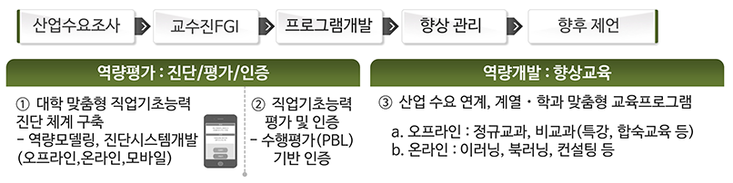 산업수요조사→교수진FGI→프로그램개발→향상관리→향후 제언, 역량평가:진단/평가/인증, 1 대학 맞춤형 직업기초능력진단 체계 구축-역량모델링, 진단시스템개발(오프라인, 온라인, 모바일), 2. 직업기초능력 평가 및 인증-수행평가(PBL)기반 인증, 역량개발:향상교육,3. 산업 수요 연계, 계열ㆍ학과 맞춤형 교육 프로그램, a. 오프라인 : 정규교과, 비교과(특강. 합숙교육 등), b. 온라인:이러닝, 북러닝, 컨설팅 등